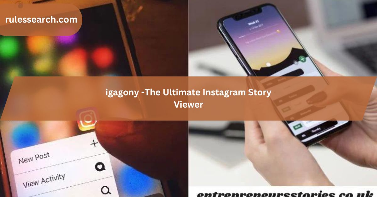 igagony -The Ultimate Instagram Story Viewer